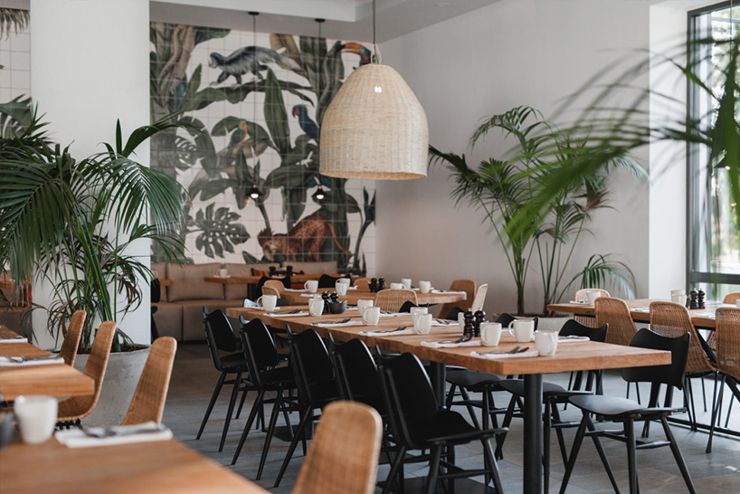 Casa Cook8