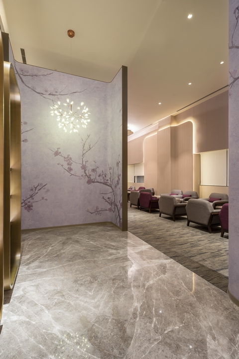 dynastyid picture 桃園第二航廈中華航空貴賓室 China Airlines T2 VIP Lounge