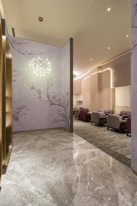 dynastyid picture China Airlines T2 VIP Lounge