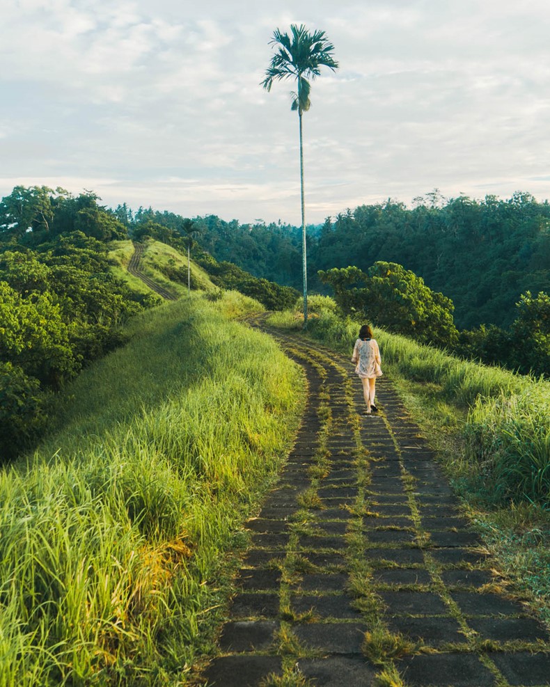 Young Caucasian woman  walking on  green hill in Bali  at morning
